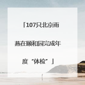 107只北京雨燕在颐和园完成年度“体检”